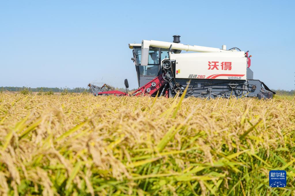 新京网首页官网
